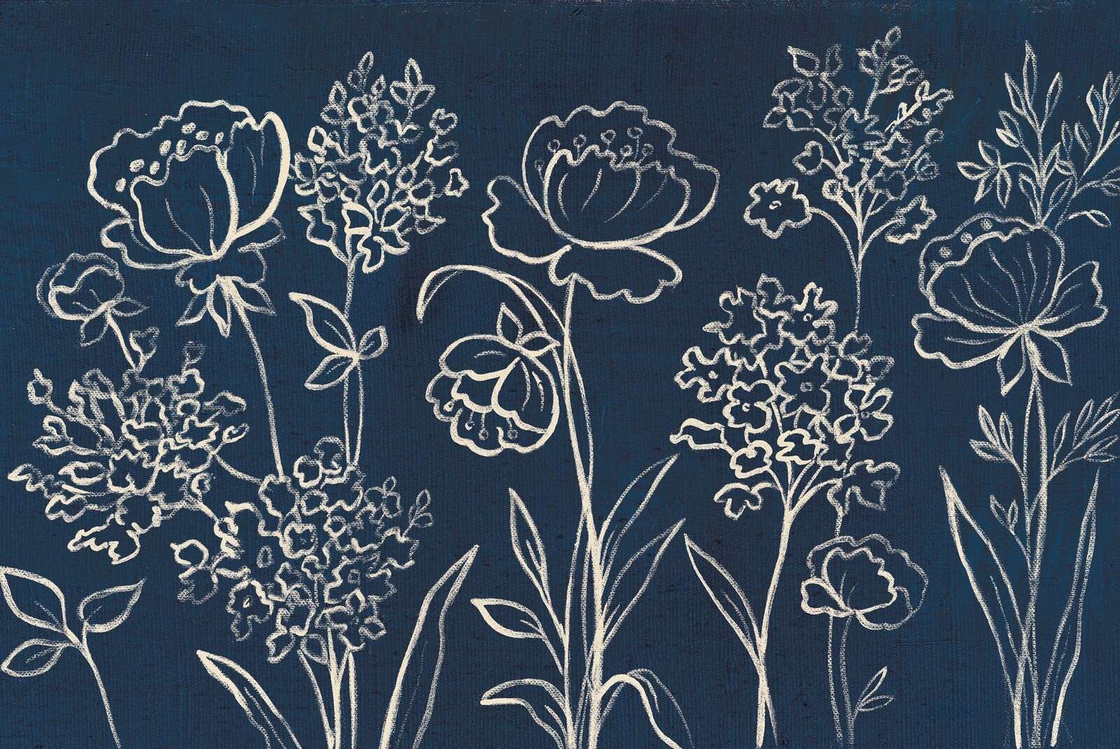 Fleurs de nuit en contraste de craie