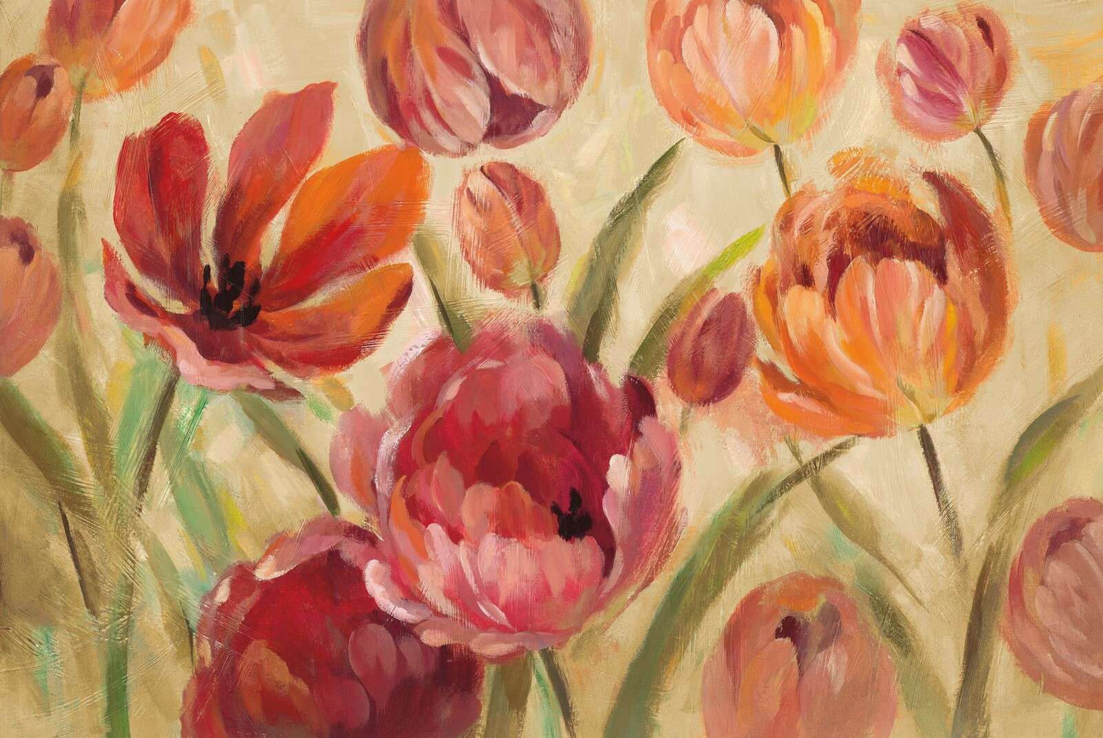 Champ fleuri de splendeur de tulipes
