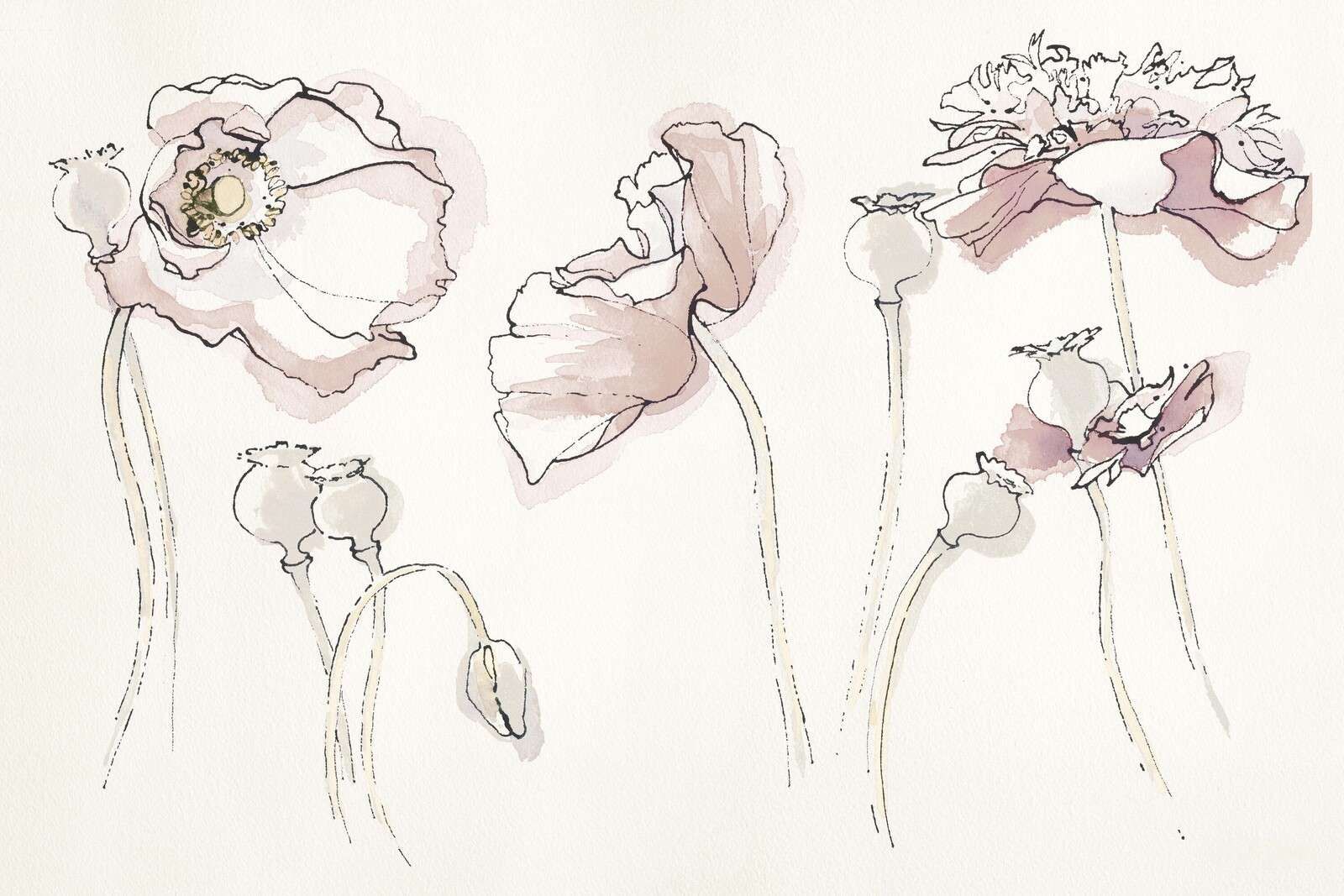 Jeu de lignes de coquelicots rose doux