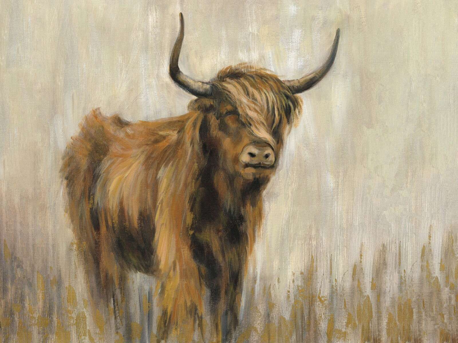 Highlander dans la prairie brumeuse