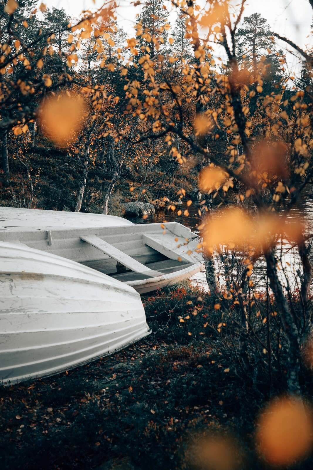 Barques blanches sur un lac d’automne