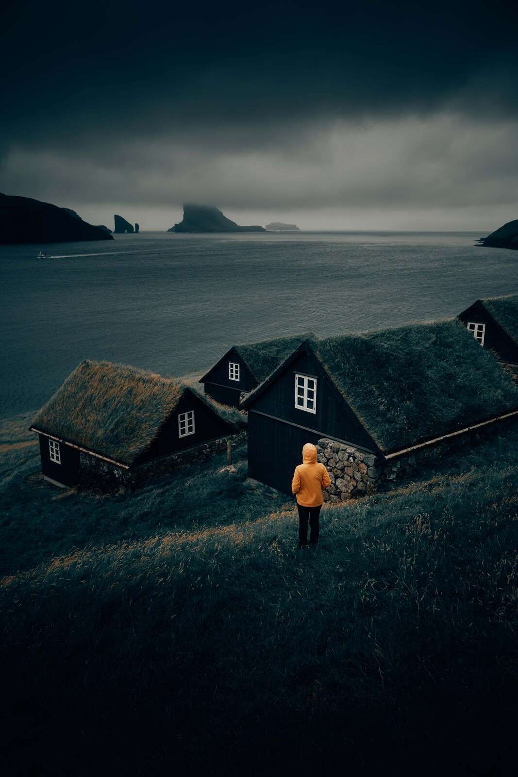 Toits de gazon près d’un fjord du nord