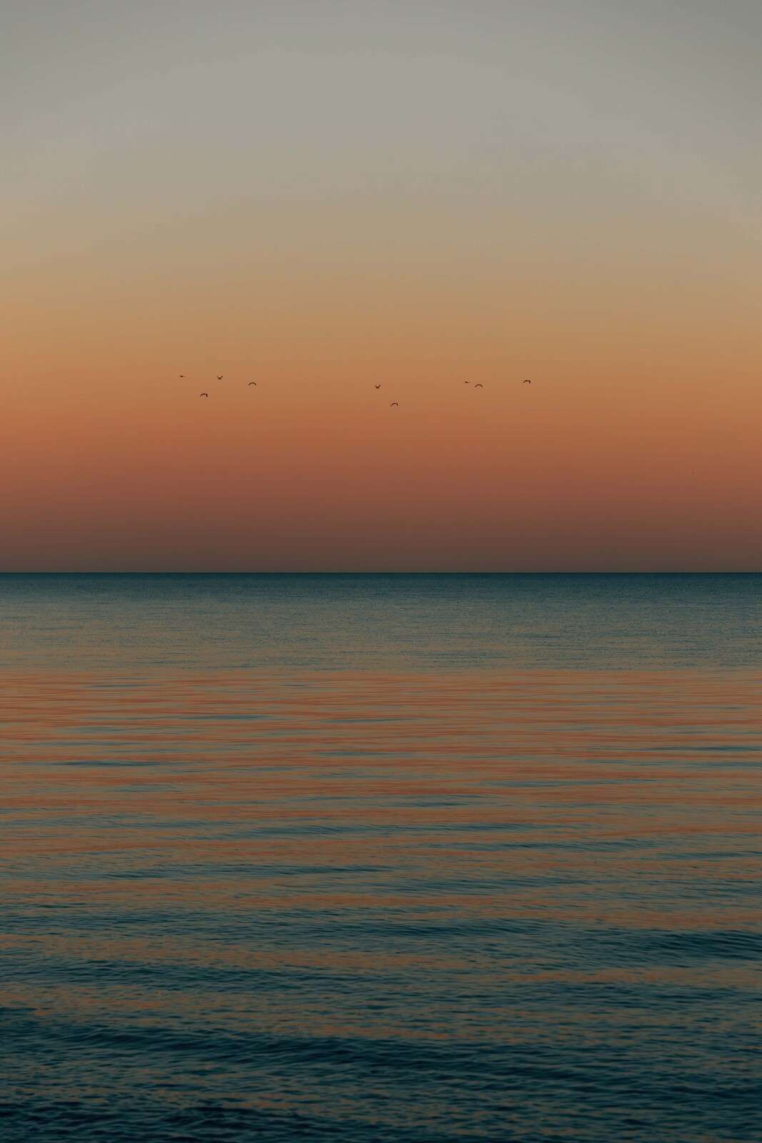 Mer calme au coucher du soleil