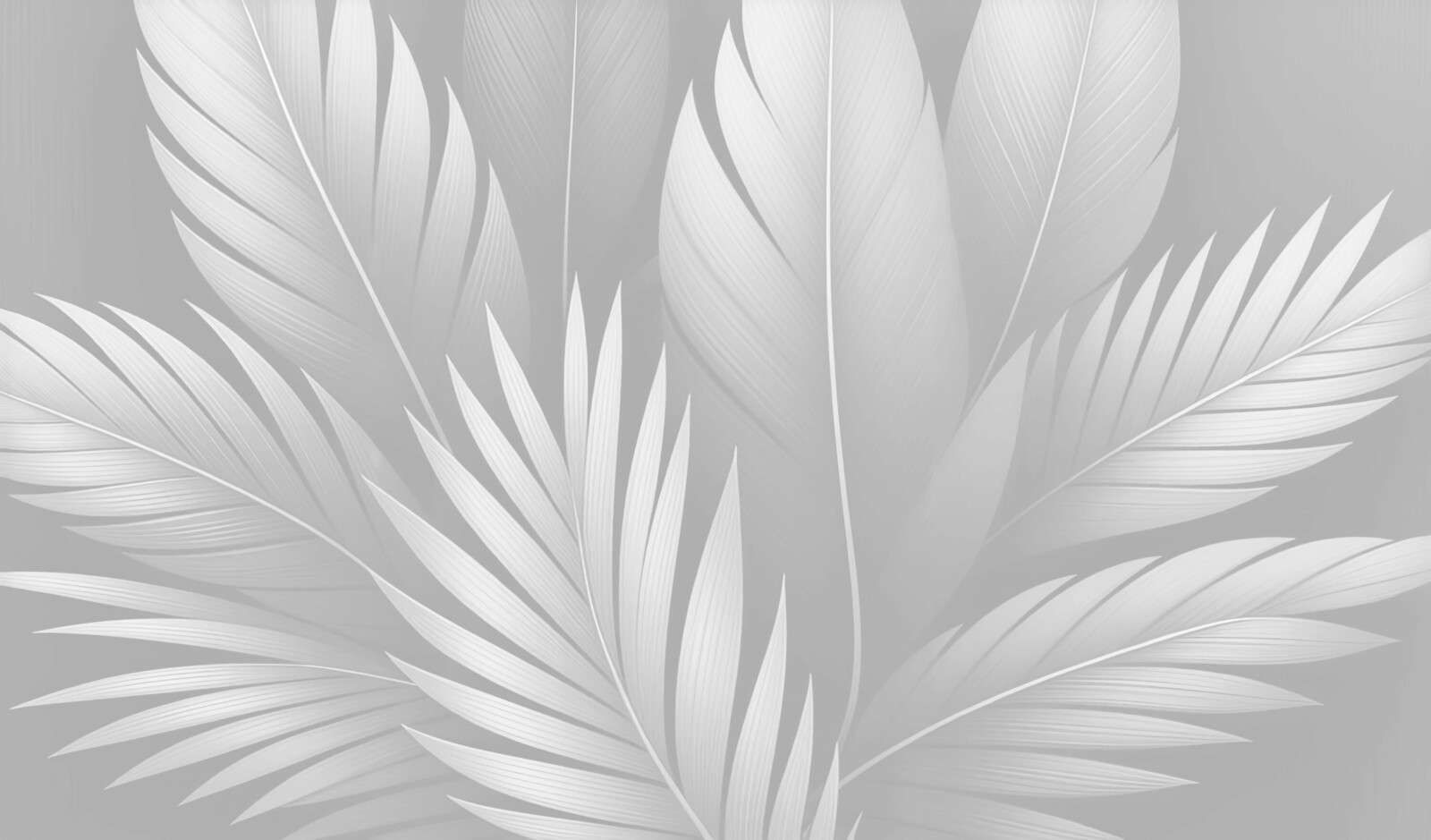 Plumes légères dans des tons blancs doux.
