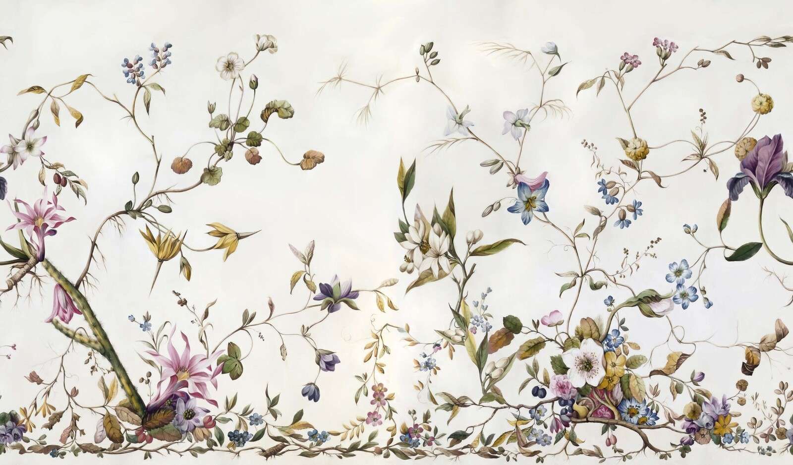 Fleurs des champs aériennes avec des vrilles