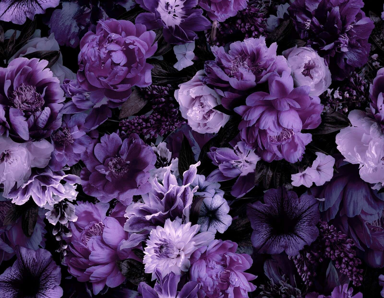 opulence baroque florale riche violet