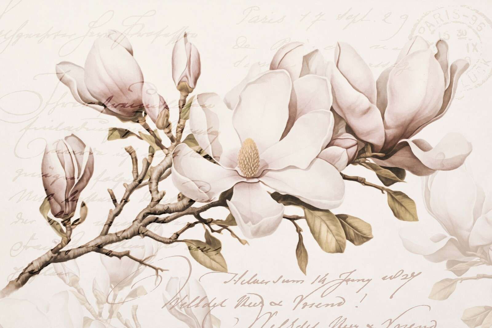 Romance printanière de magnolia, art floral nostalgique