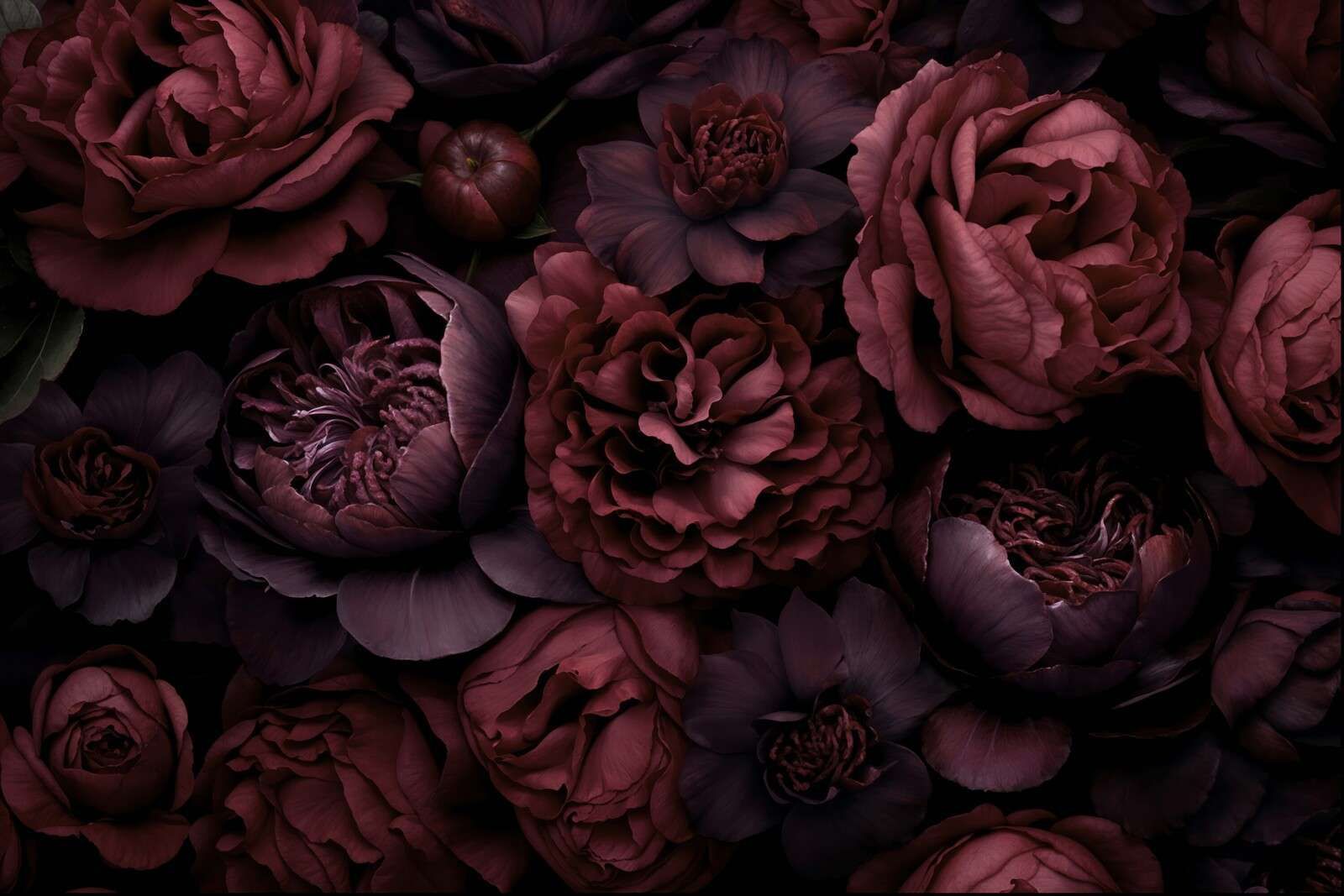 Victorian grandeur large flowers burgundy red
