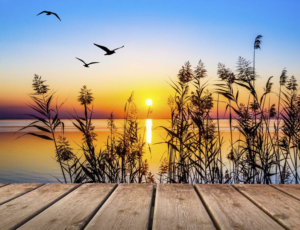 Coucher de soleil sur le lac Coucher de soleil sur le lac