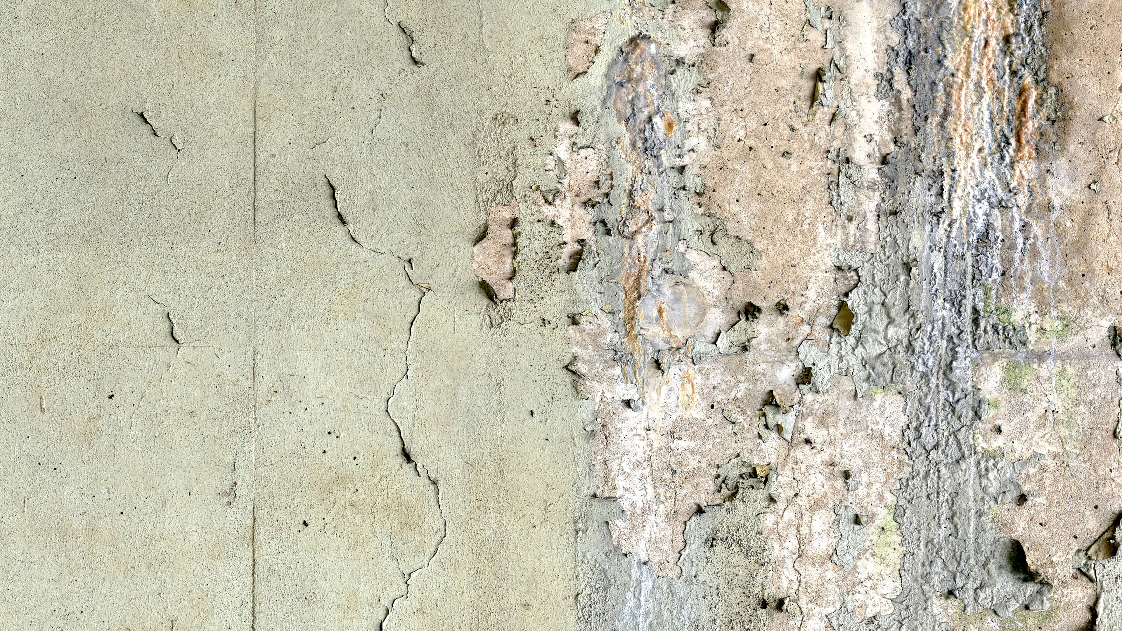 Detailed Image Detailed Image