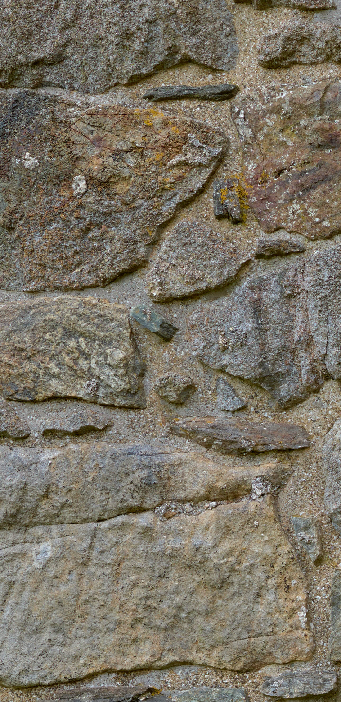Detailed Image 1 Detailed Image 1