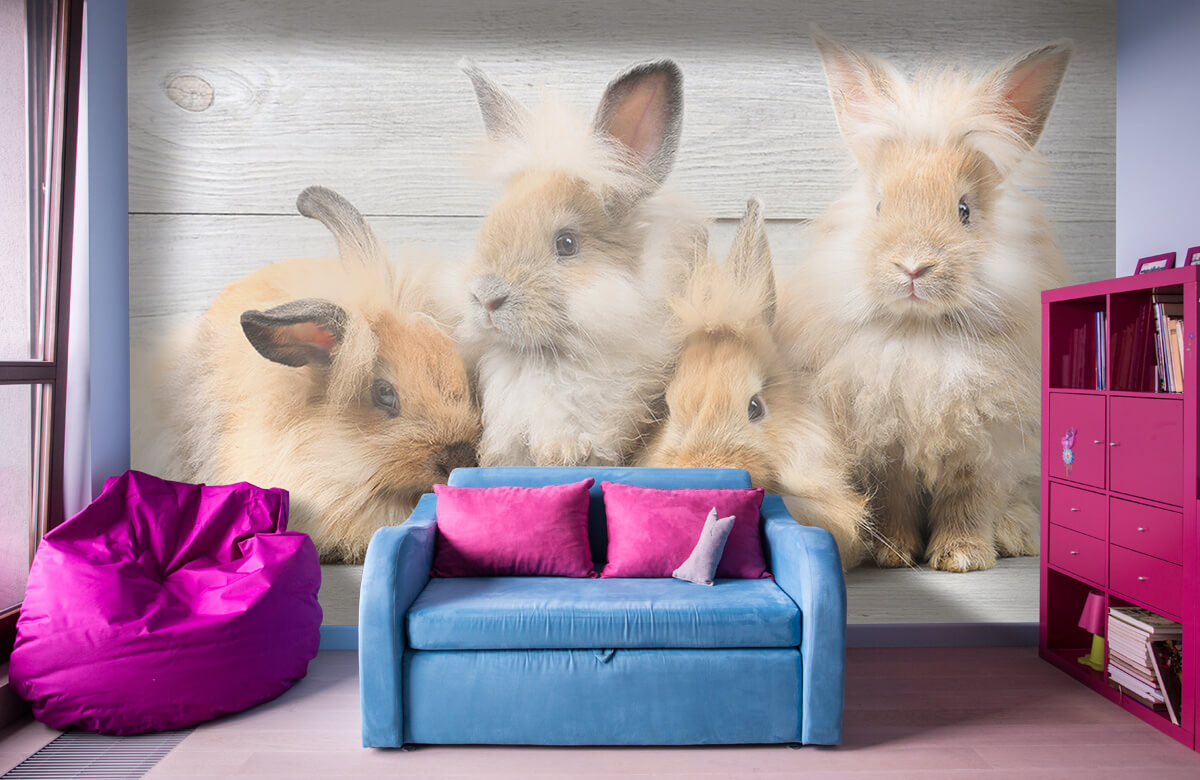 Wallpaper Petits lapins 1