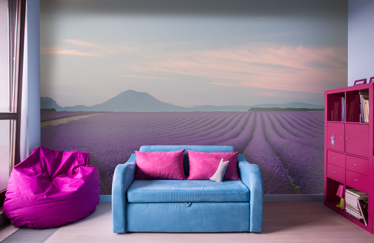 Landscape Lavender field 2