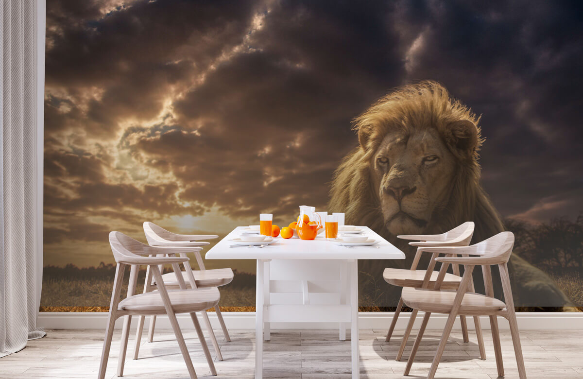 Animals Adventures on Savannah - The Lion King 3