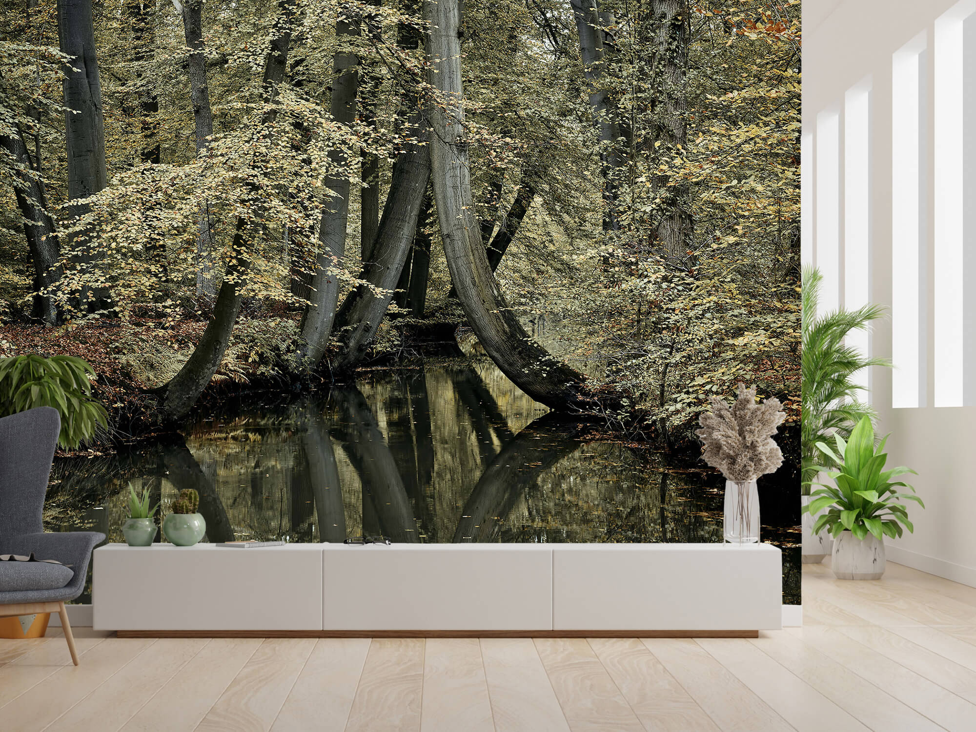 wallpaper Ruisseau avec des arbres suspendus 10