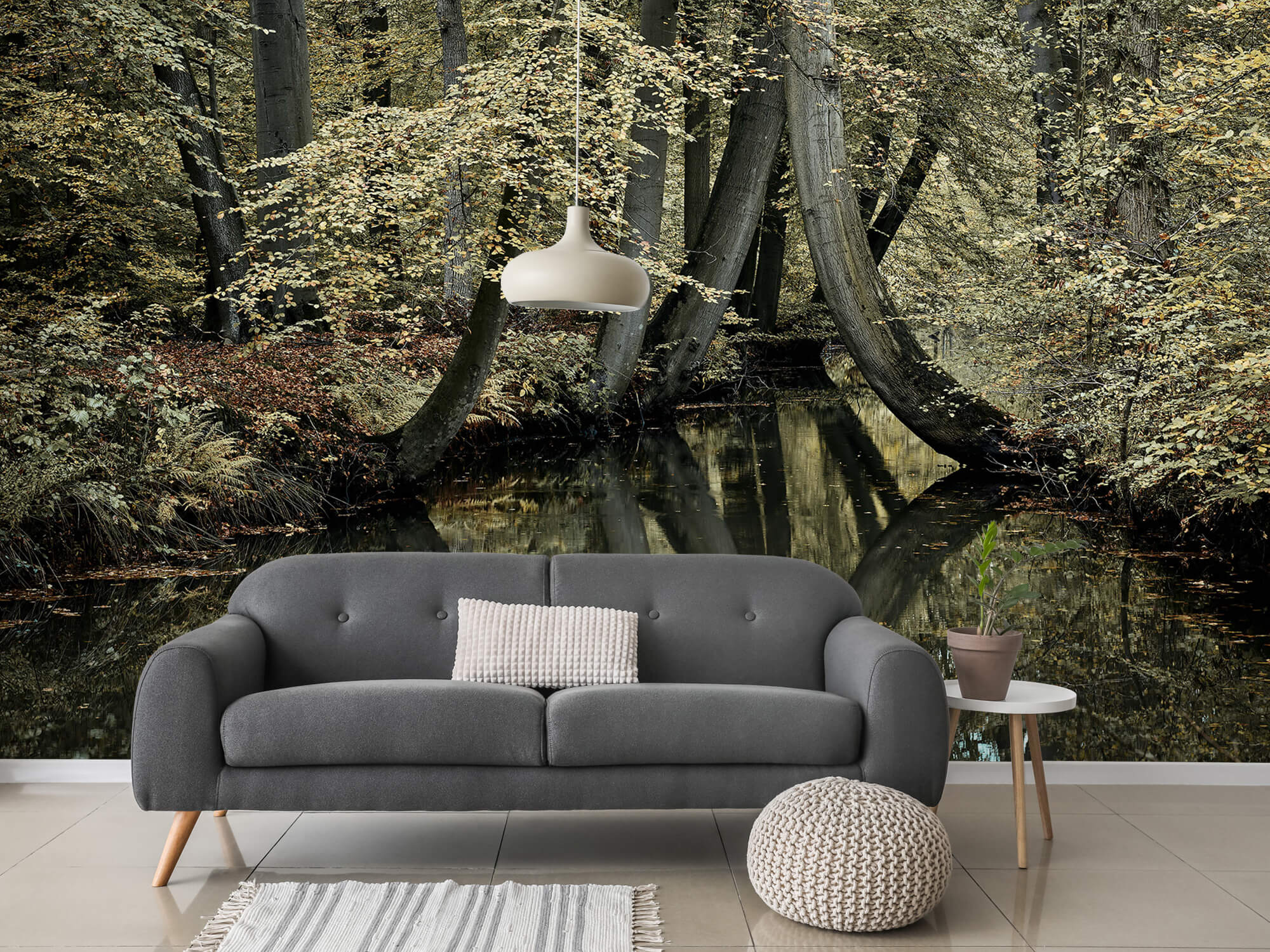 wallpaper Ruisseau avec des arbres suspendus 11